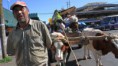 /album/fotogaleria-inicio/cochayuyero-temuco-chile-jpg/
